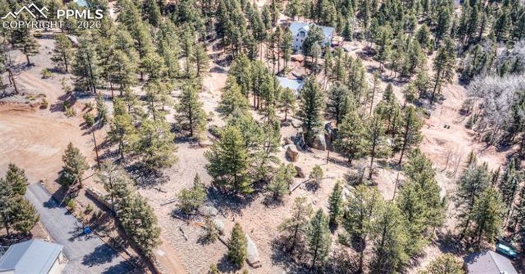 110 La Abu Trail, Florissant, CO 80816 — photo 5