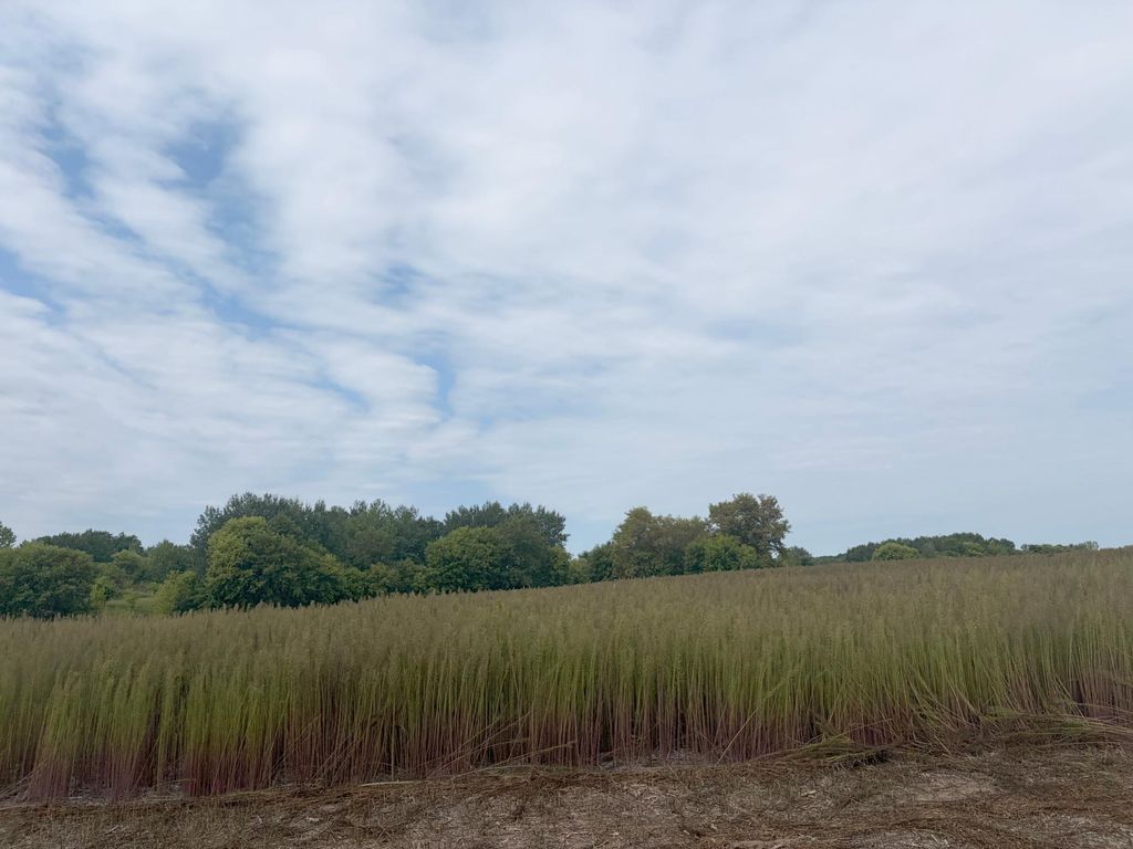 TBD (L1-SM East) 269th Avenue NW, Isanti, MN 55040 — photo 2
