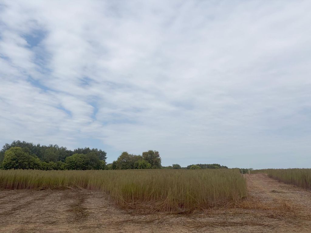 TBD (L1-SM East) 269th Avenue NW, Isanti, MN 55040 — photo 3