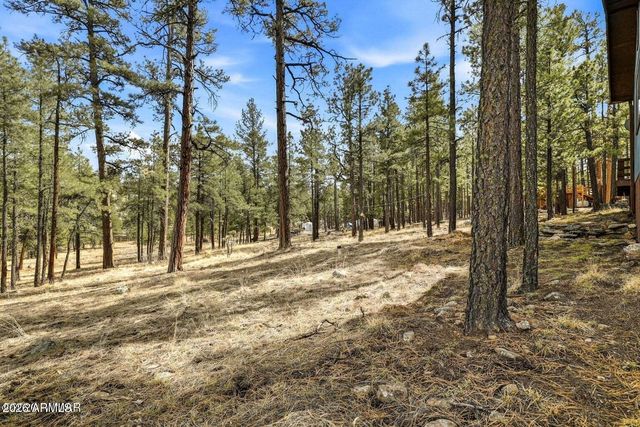 6 S COUNTY ROAD N2148 Road, Alpine, AZ 85920