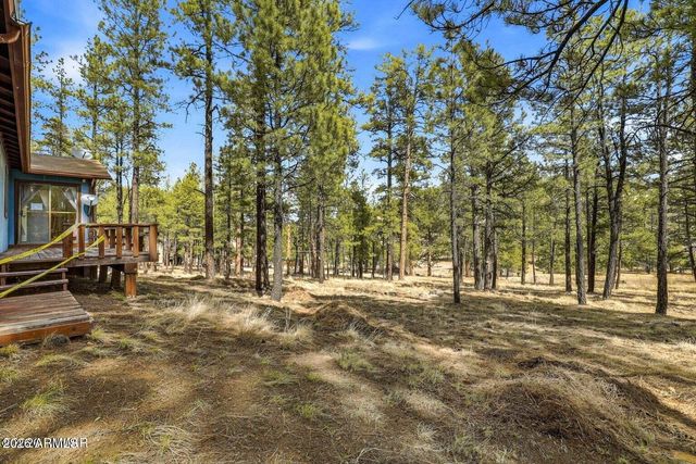 6 S COUNTY ROAD N2148 Road, Alpine, AZ 85920