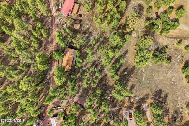 6 S COUNTY ROAD N2148 Road, Alpine, AZ 85920