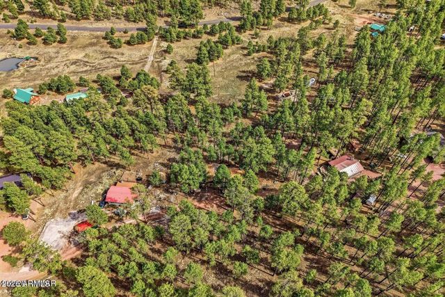 6 S COUNTY ROAD N2148 Road, Alpine, AZ 85920