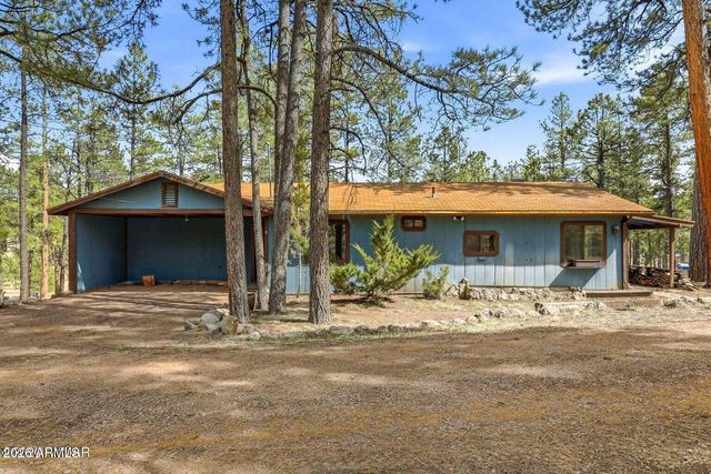 6 S COUNTY ROAD N2148 Road, Alpine, AZ 85920