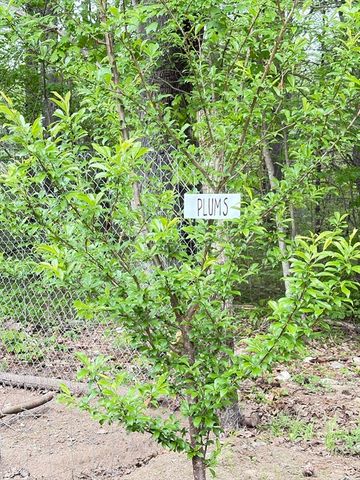 276 New Sherborn Rd, Athol, MA 01331