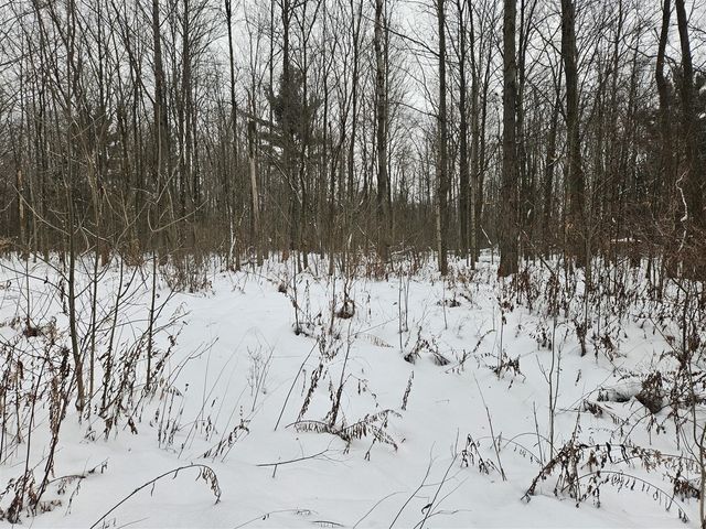 14th Avenue, South Haven, MI 49090