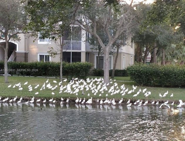 11715 W Atlantic Blvd 1826, Coral Springs, FL 33071