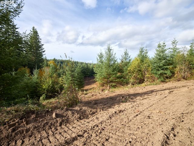 377 Bighorn Dr, Kelso, WA 98626