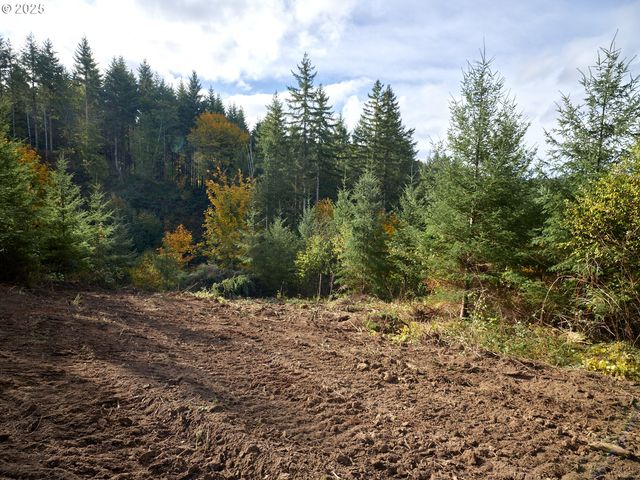 377 Bighorn Dr, Kelso, WA 98626