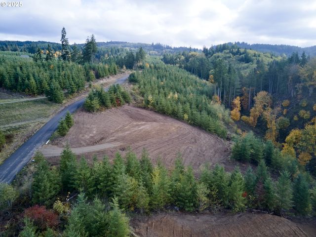 377 Bighorn Dr, Kelso, WA 98626