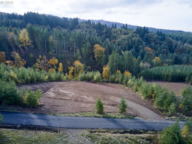 377 Bighorn Dr, Kelso, WA 98626