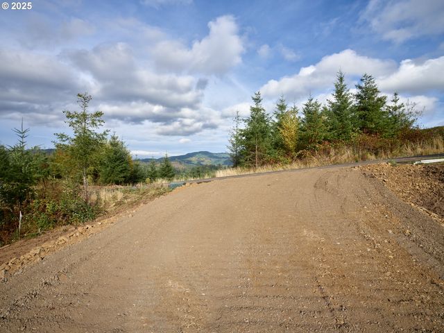 377 Bighorn Dr, Kelso, WA 98626