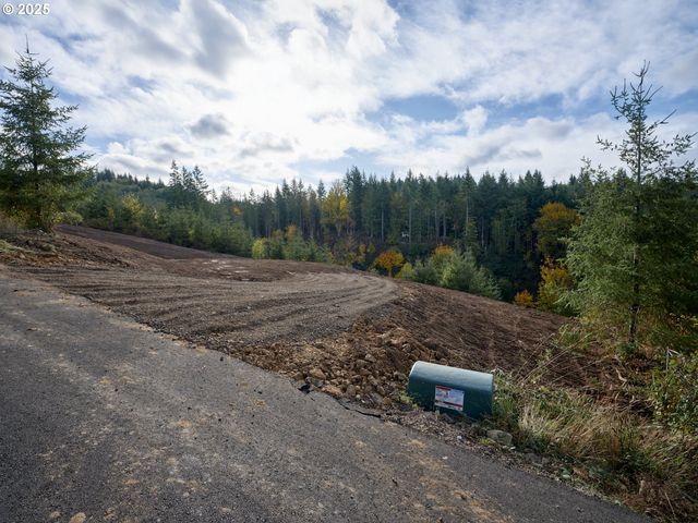 377 Bighorn Dr, Kelso, WA 98626