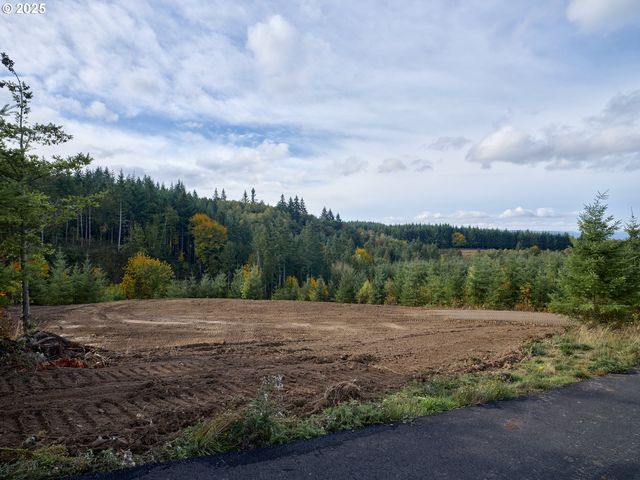 377 Bighorn Dr, Kelso, WA 98626