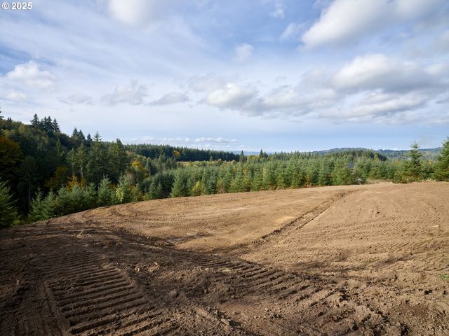 377 Bighorn Dr, Kelso, WA 98626