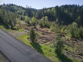2 Bootjack Ln, Kelso, WA 98626
