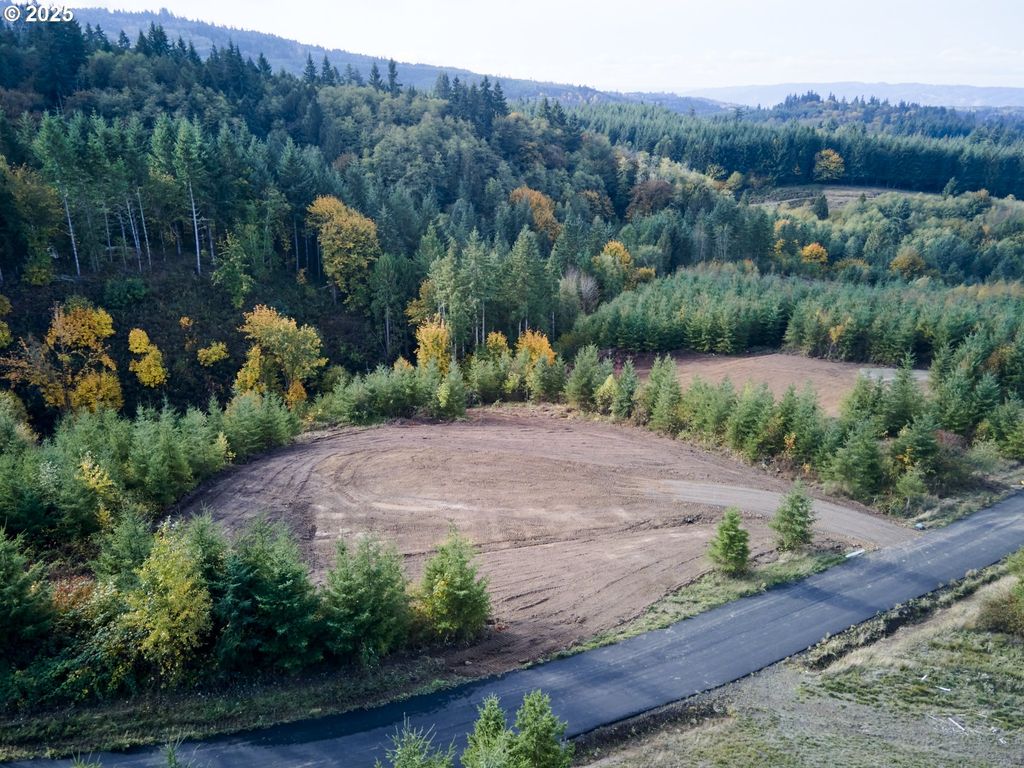 377 Bighorn Dr, Kelso, WA 98626