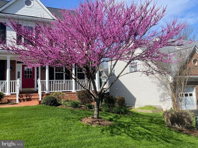 7736 WHITE WILLOW CT, Springfield, VA 22153