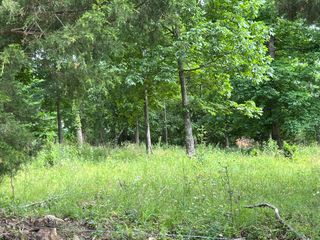 0 Bosham Rd, Westmoreland, TN 37186