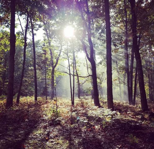 5591 E Haskell Lake Road, Harrison, MI 48625