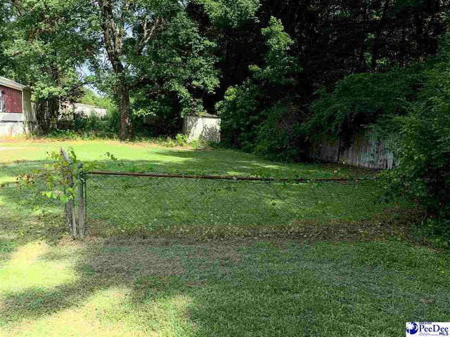 3508 E National Cemetary Rd, Florence, SC 29506