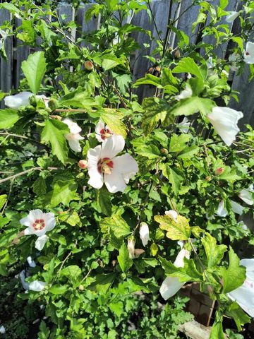 643 TAYCO STREET, Menasha, WI 54952