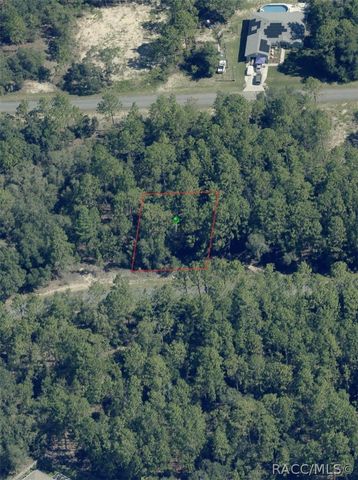 945 W Bannister Drive, Dunnellon, FL 34434