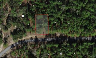 945 W Bannister Drive, Dunnellon, FL 34434