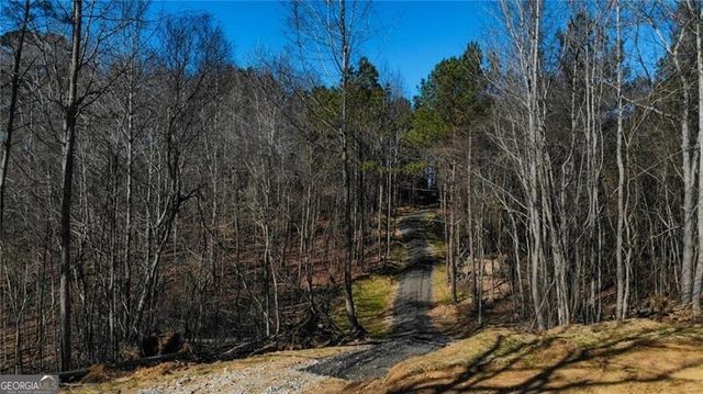 5.785 Acres on Orlando Path, Dallas, GA 30157