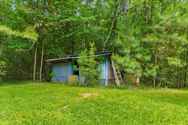 300 James Lane, Coldspring, TX 77331