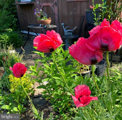 201 GLENDALOUGH RD, Glenside, PA 19038