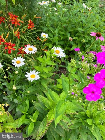 201 GLENDALOUGH RD, Glenside, PA 19038