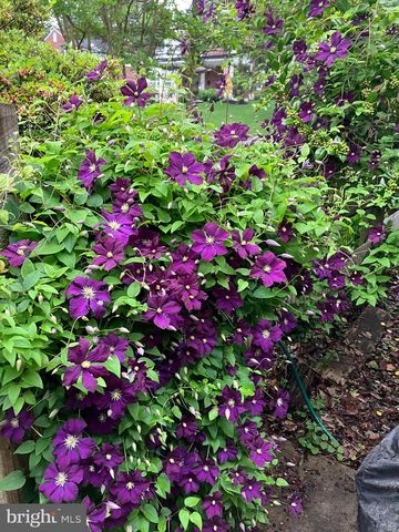 201 GLENDALOUGH RD, Glenside, PA 19038