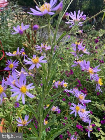 201 GLENDALOUGH RD, Glenside, PA 19038