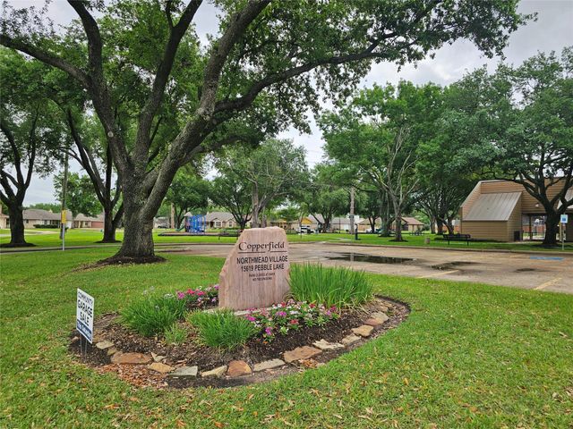 15802 Oak Mountain Drive, Houston, TX 77095