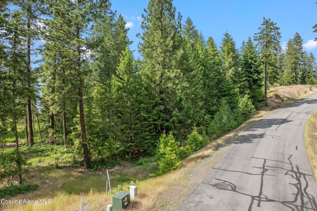 Lot 3 Jackleg Trail, Harrison, ID 83833