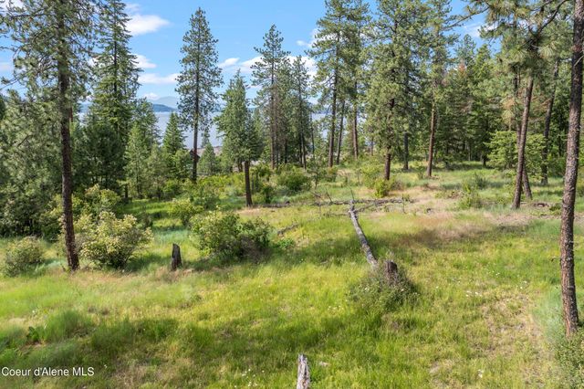 Lot 3 Jackleg Trail, Harrison, ID 83833