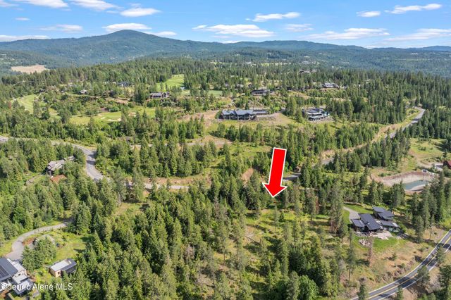 Lot 3 Jackleg Trail, Harrison, ID 83833