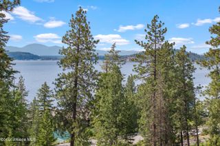 Lot 3 Jackleg Trail, Harrison, ID 83833