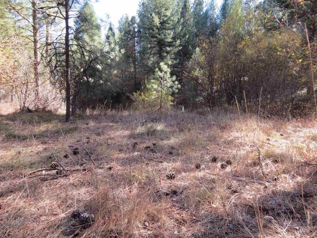Lot 36 Spur Dr., Garden Valley, ID 83622 photo 3