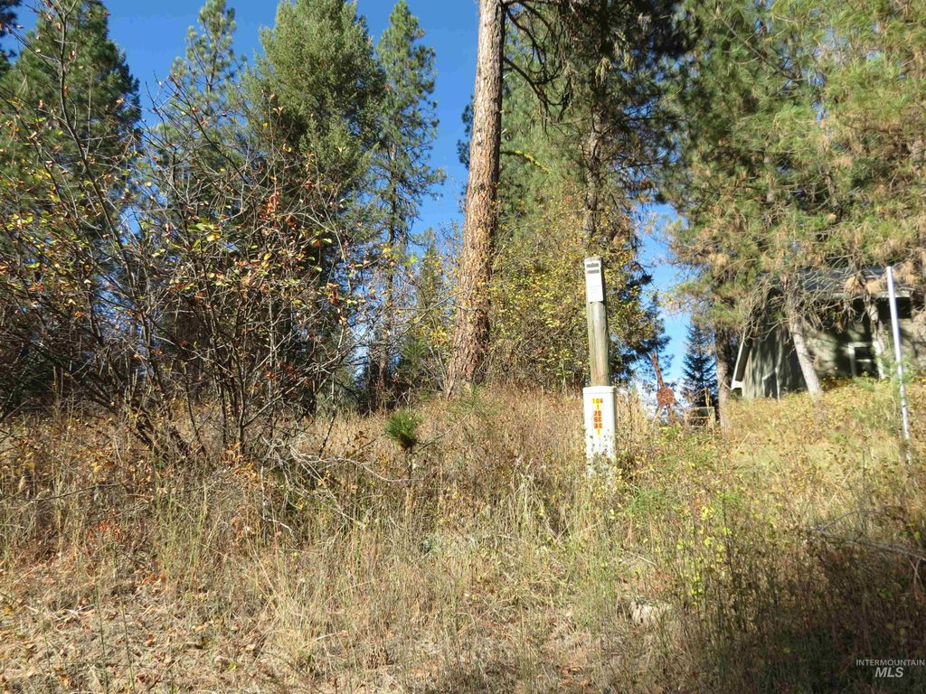Lot 36 Spur Dr., Garden Valley, ID 83622 photo 4