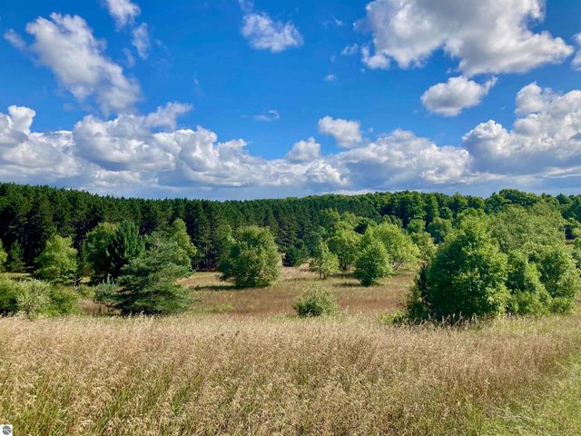 3800 N 13 Road, Mesick, MI 49668