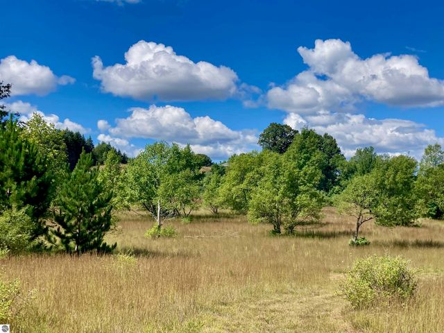 3800 N 13 Road, Mesick, MI 49668