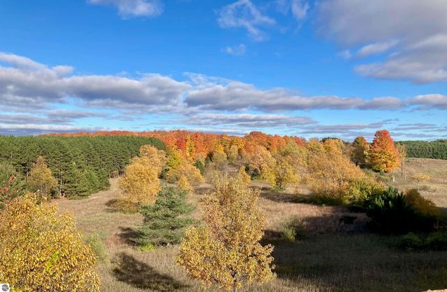 3800 N 13 Road, Mesick, MI 49668