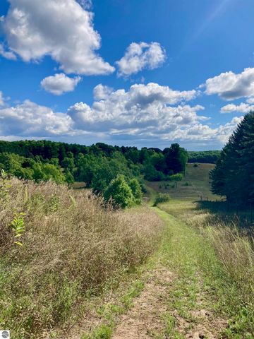 3800 N 13 Road, Mesick, MI 49668