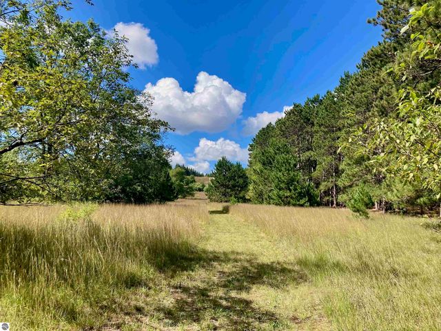 3800 N 13 Road, Mesick, MI 49668