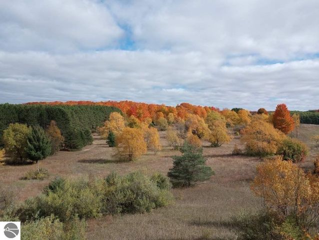 3800 N 13 Road, Mesick, MI 49668