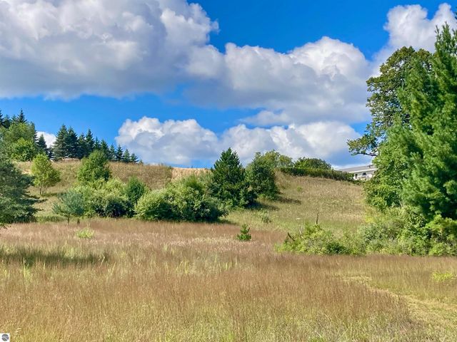 3800 N 13 Road, Mesick, MI 49668