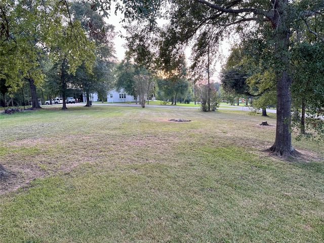 23869 S Lake View Road, Montgomery, TX 77316