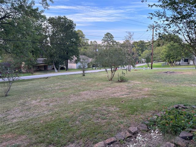 23869 S Lake View Road, Montgomery, TX 77316